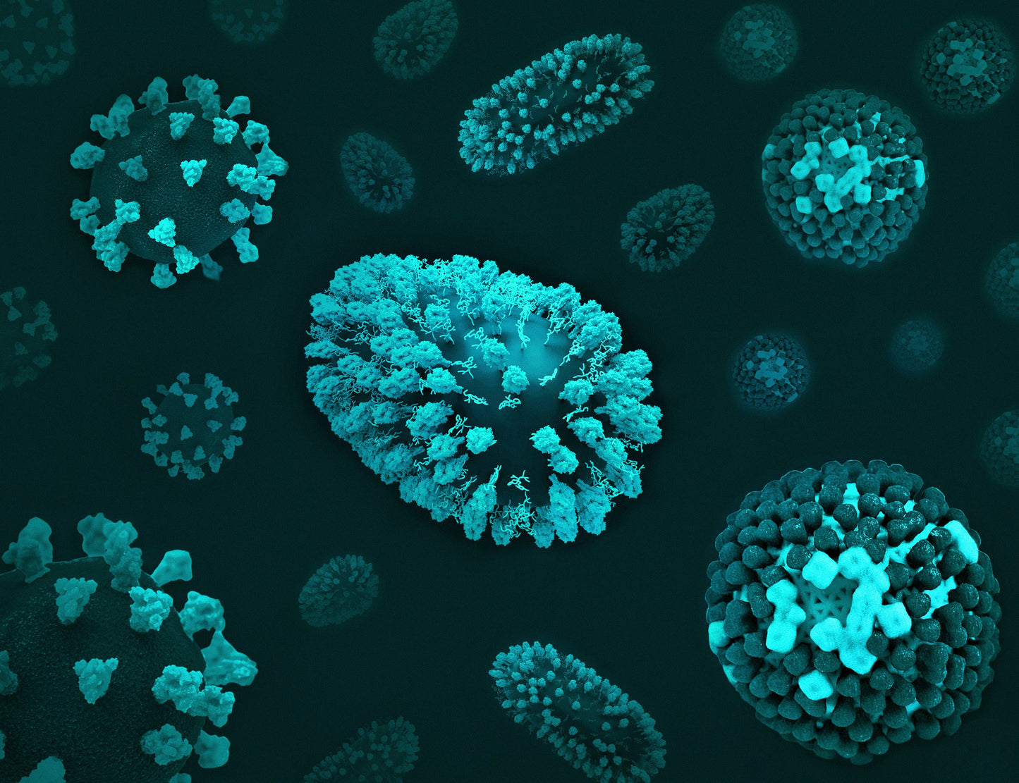 CMV (Cytomegalovirus IgG and IgM)