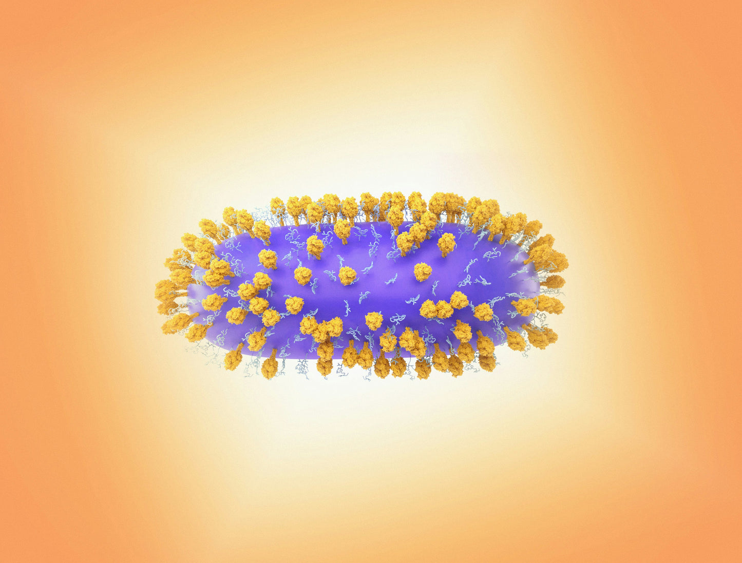 EBV Serology