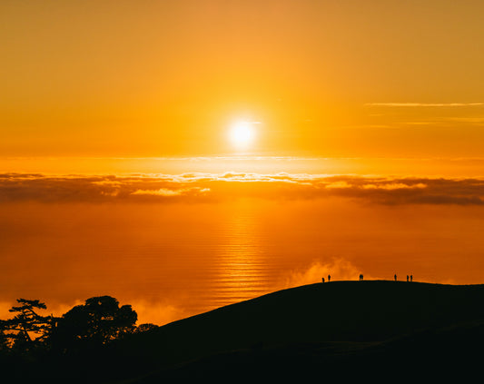 Vitamin D