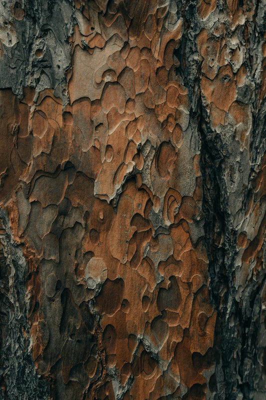 Fungal Examination (skin, nail, hair)