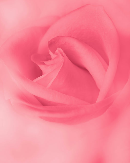 Menopause